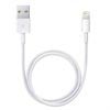 Apple Lightning / USB kábel ME291ZM / A - Biela - 0,5 m