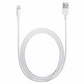 Original Apple Lightning Cable MXLY2ZM/A - iPhone, iPad, iPod - 1m