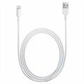 Original Apple Lightning Cable MXLY2ZM/A - iPhone, iPad, iPod - 1m