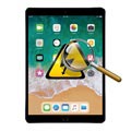 IPad Pro 10.5 Diagnóza