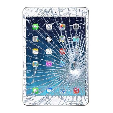 IPad Mini 2 Display Glass & Touch Screen Oprava